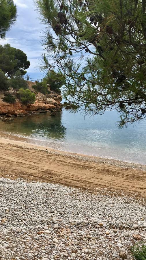 Apt Ideal Para Familias Cerca Del Mar L'Ampolla Eksteriør billede